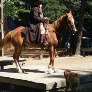 Meet your Posher, Steve